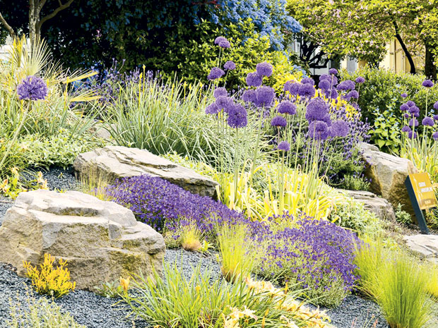 Камени врт на сунчаној страни 